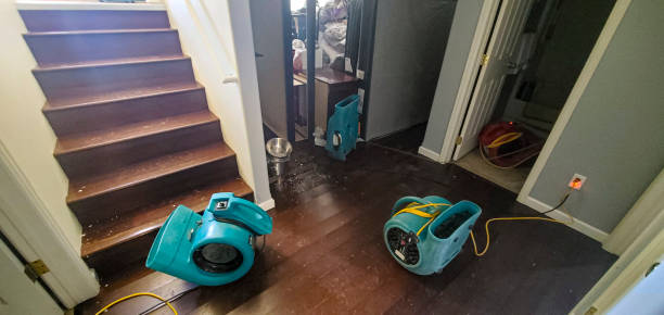 Best Water damage restoration experts  in Guntown, MS