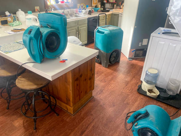 Best Carpet water damage restoration  in Guntown, MS