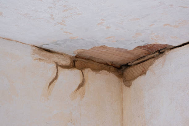 Best 24/7 water damage repair  in Guntown, MS