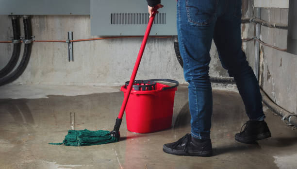 Best Water damage restoration company  in Guntown, MS