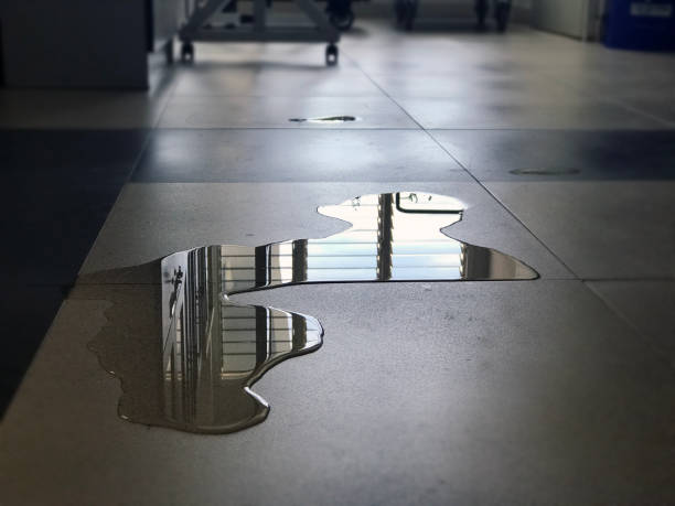 Reliable MS Water damage restoration Solutions