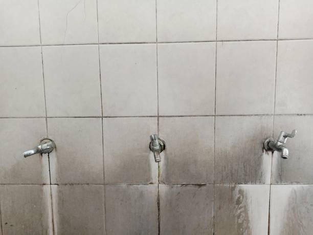 Best Professional water damage repair  in Guntown, MS