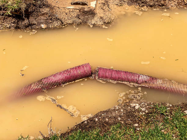 Best Water damage repair service  in Guntown, MS