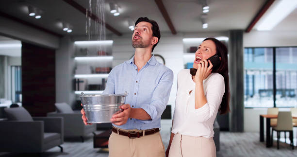 Best Ceiling water damage repair  in Guntown, MS